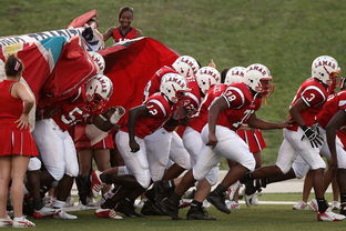 开云官网在线-全国城际定向越野赛青少年组吸引众多参赛者，全国定向越野锦标赛